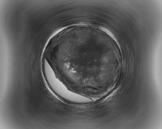 X0000085071045200703191257