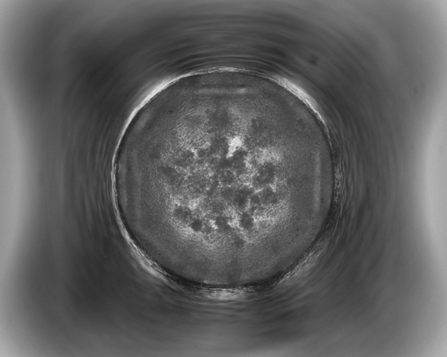 X0000085071047200703191257