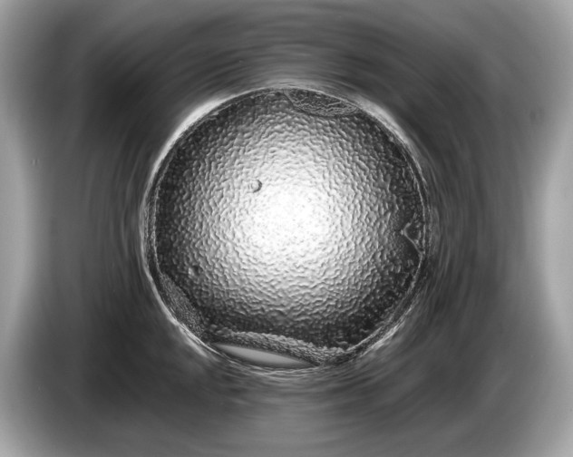 X0000085071048200703191257