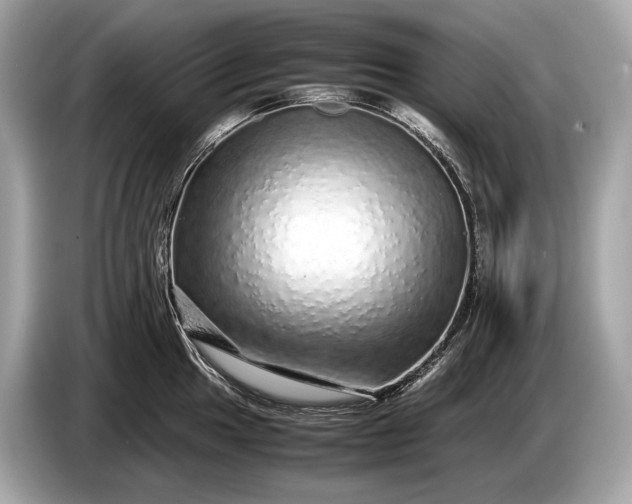 X0000085071049200703191257