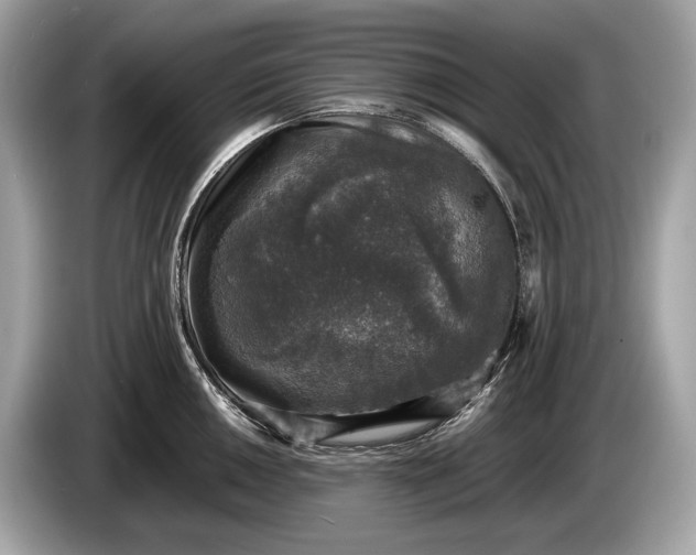 X0000085071050200703191257