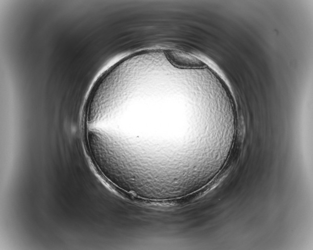 X0000085071053200703191257