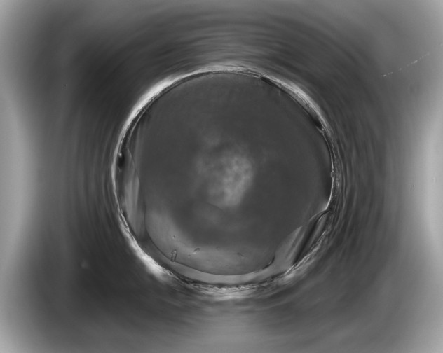 X0000085071054200703191257