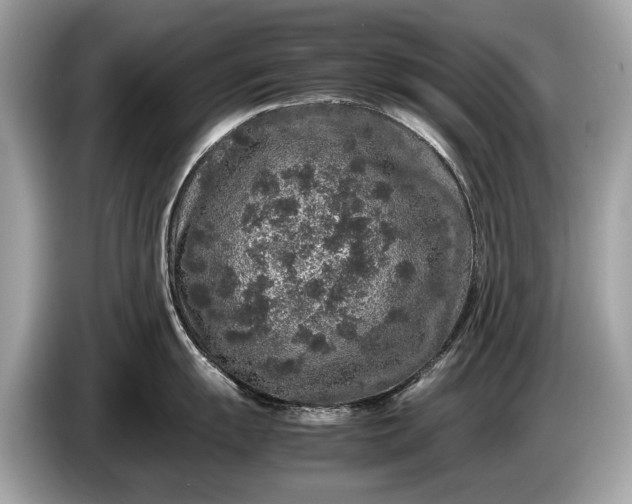 X0000085071055200703191257