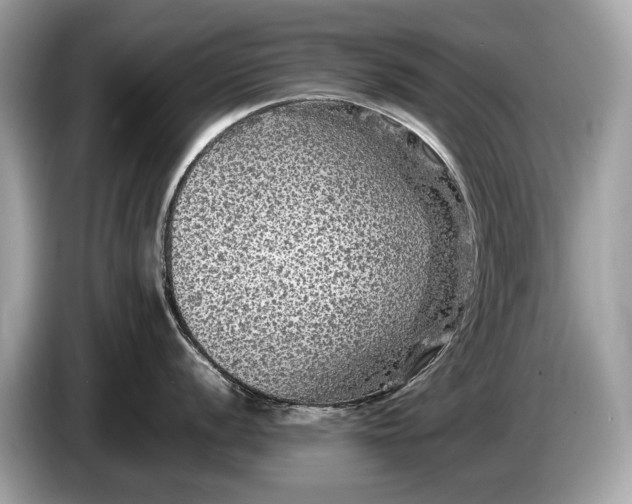 X0000085071056200703191257