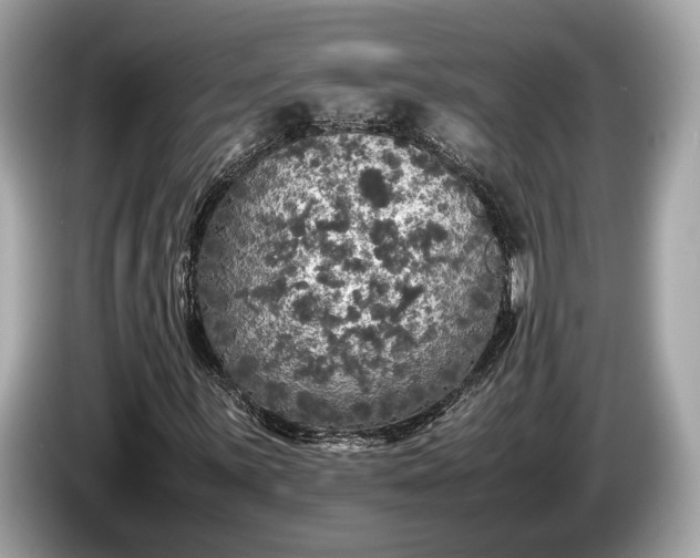 X0000085071059200703191256