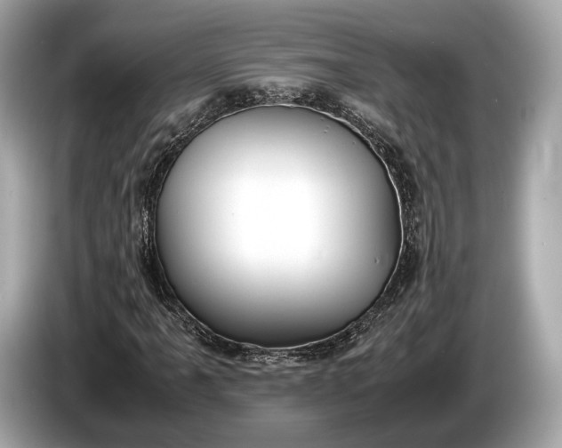 X0000085071061200703191256