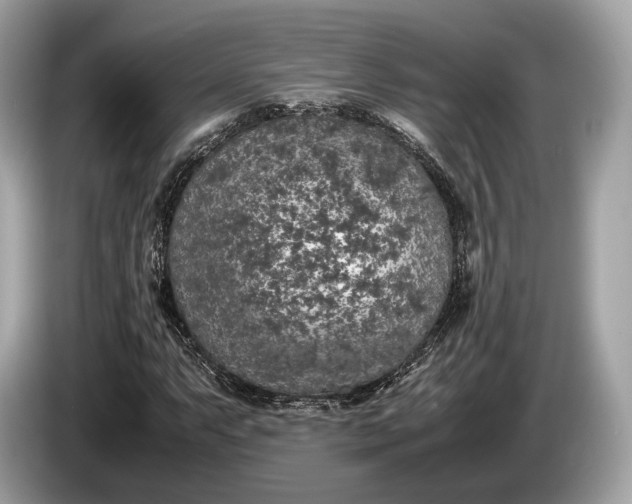 X0000085071063200703191256