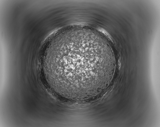 X0000085071064200703191256