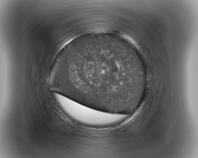 X0000085071065200703191256