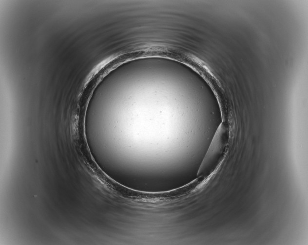 X0000085071066200703191256