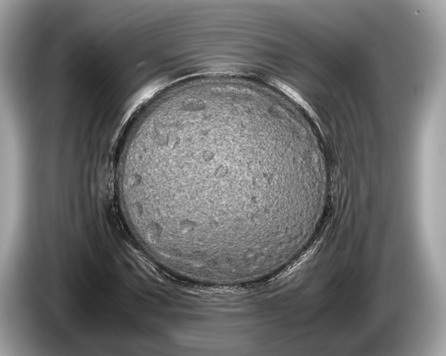 X0000085071067200703191256