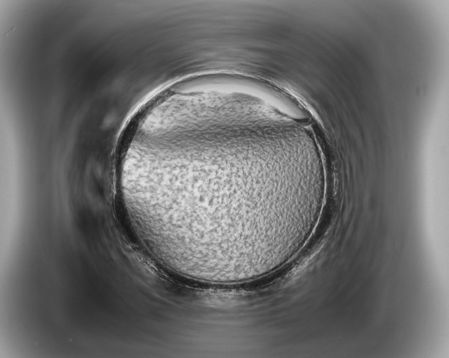 X0000085071069200703191256