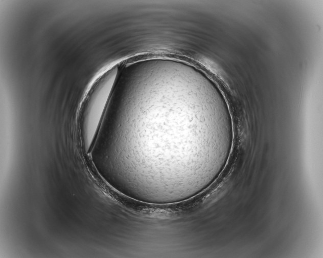 X0000085071070200703191256