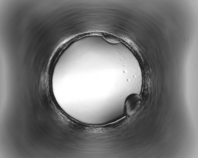 X0000085071072200703191256