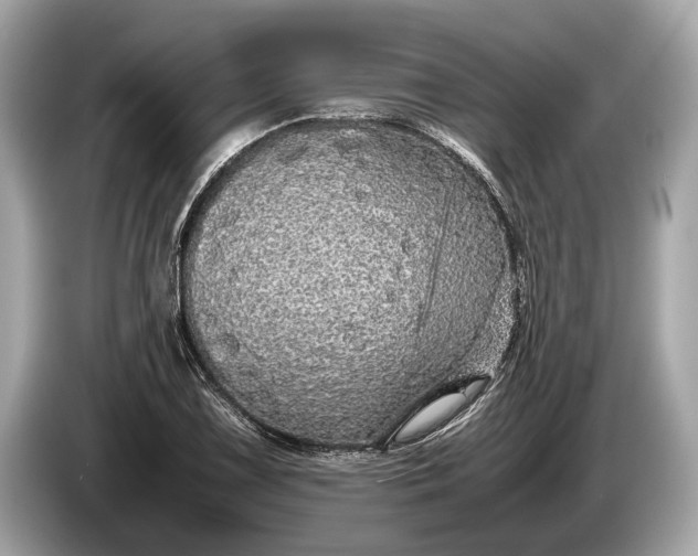 X0000085071075200703191256