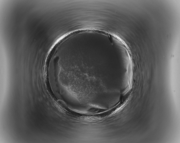 X0000085071077200703191256