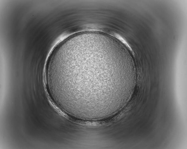 X0000085071080200703191256