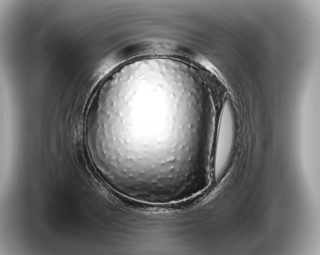 X0000085071081200703191256