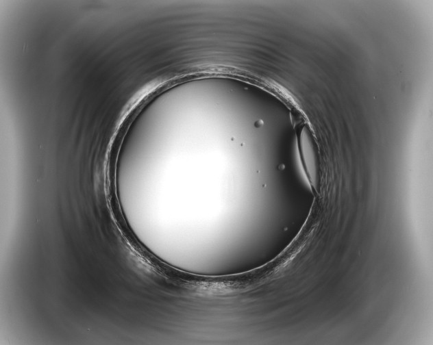 X0000085071082200703191256