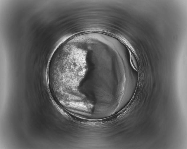 X0000085071084200703191256