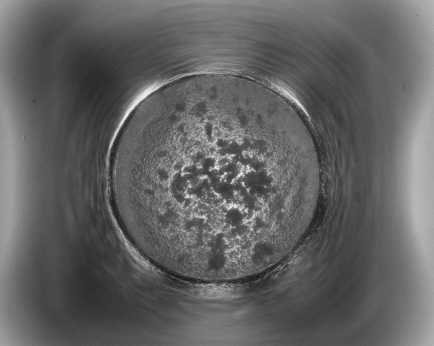 X0000085071087200703191256