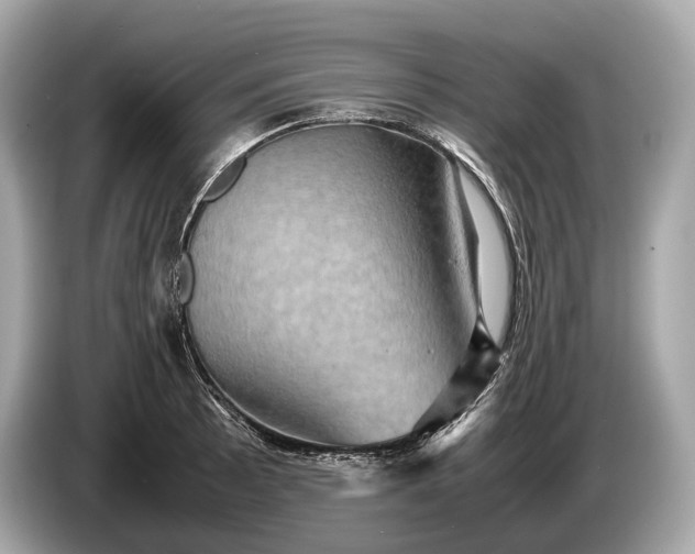 X0000085071089200703191256