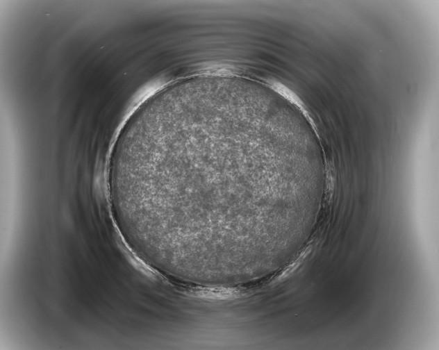 X0000085071090200703191256