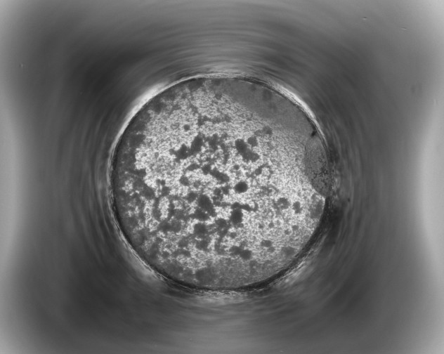 X0000085071091200703191256