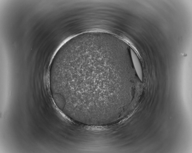 X0000085071092200703191256