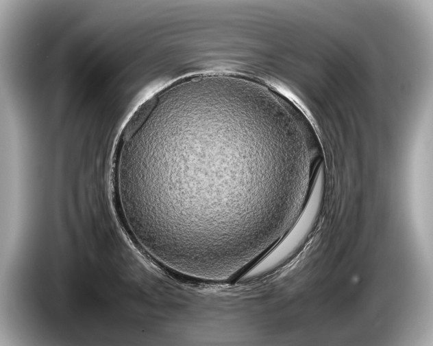 X0000085071093200703191256