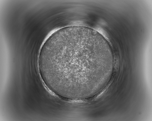 X0000085071094200703191256