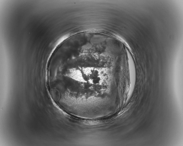 X0000085071095200703191256