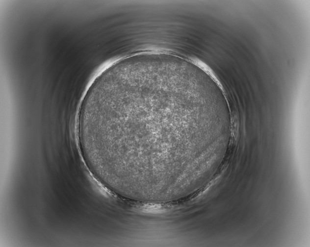 X0000085071098200703191256