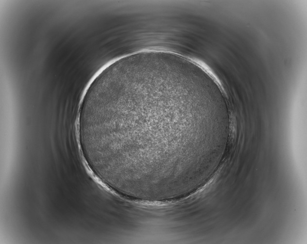 X0000085071100200703191256