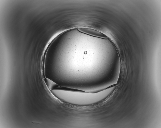 X0000085071102200703191256