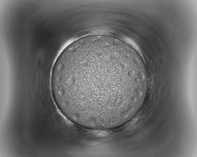 X0000085071103200703191256