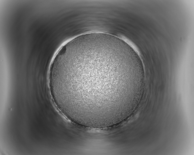 X0000085071104200703191256