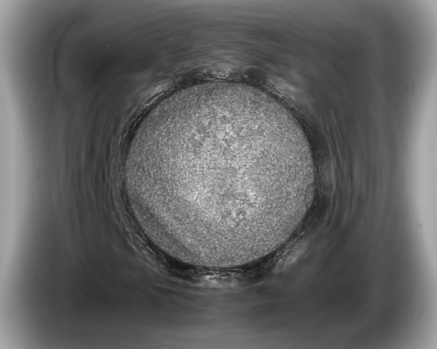 X0000085071105200703191255