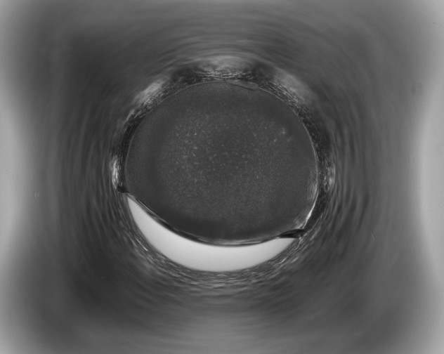 X0000085071108200703191255