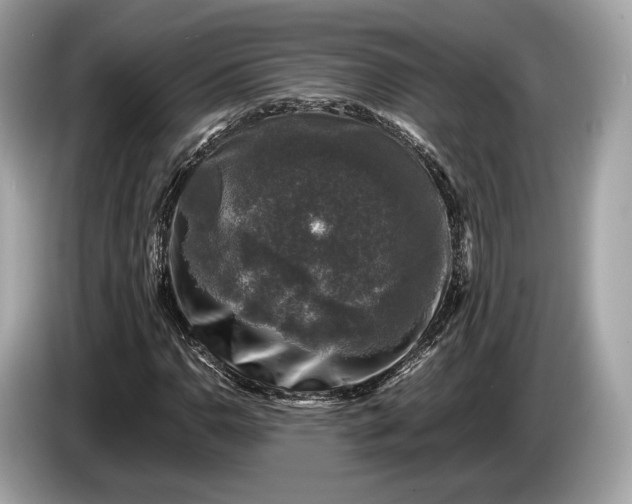 X0000085071110200703191255