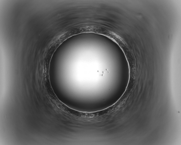 X0000085071111200703191255