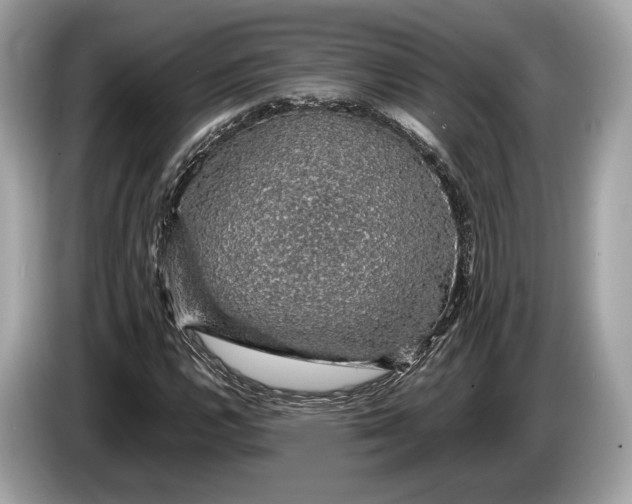 X0000085071112200703191255