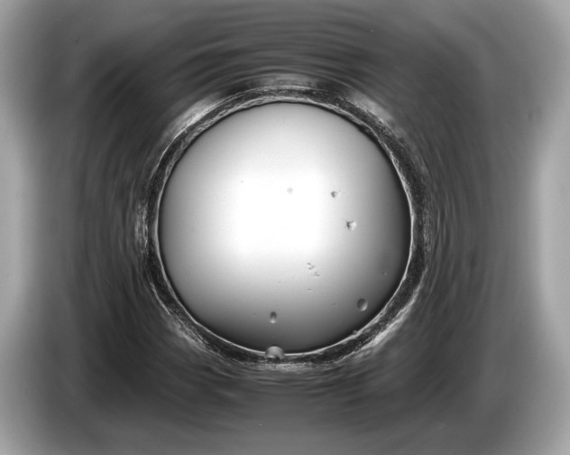 X0000085071113200703191255