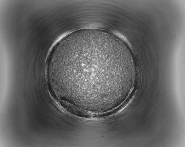 X0000085071114200703191255