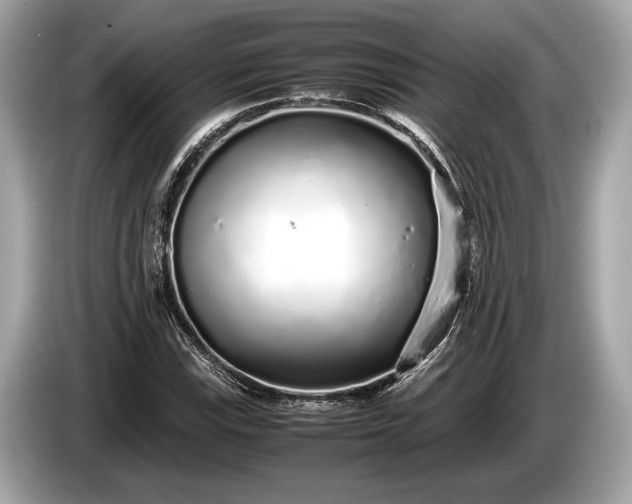 X0000085071115200703191255