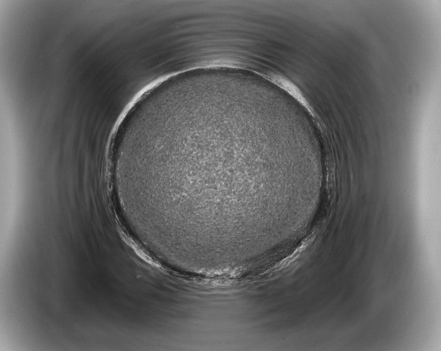 X0000085071116200703191255