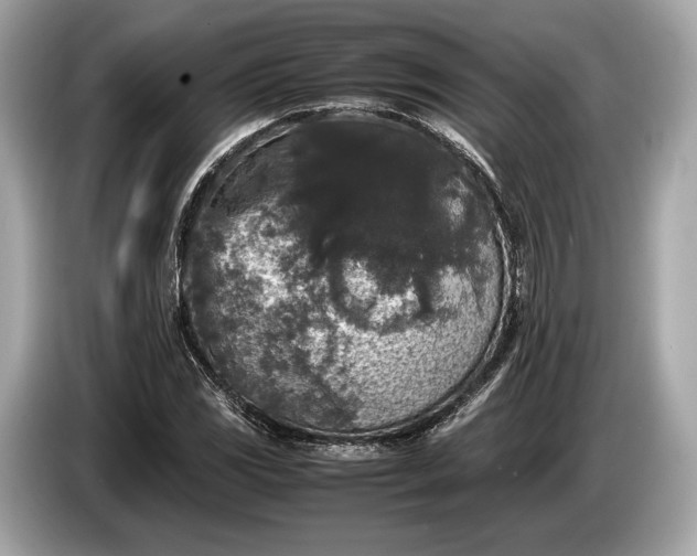 X0000085071117200703191255