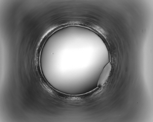 X0000085071119200703191255