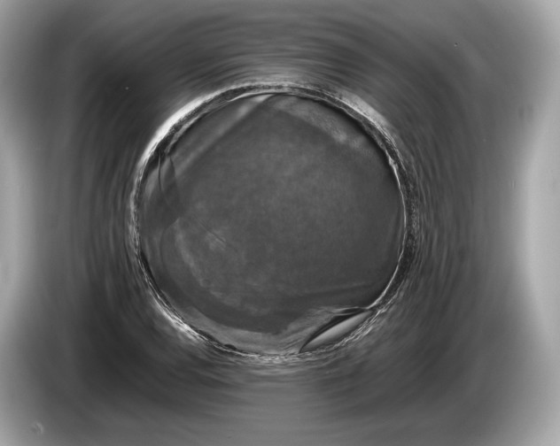 X0000085071120200703191255